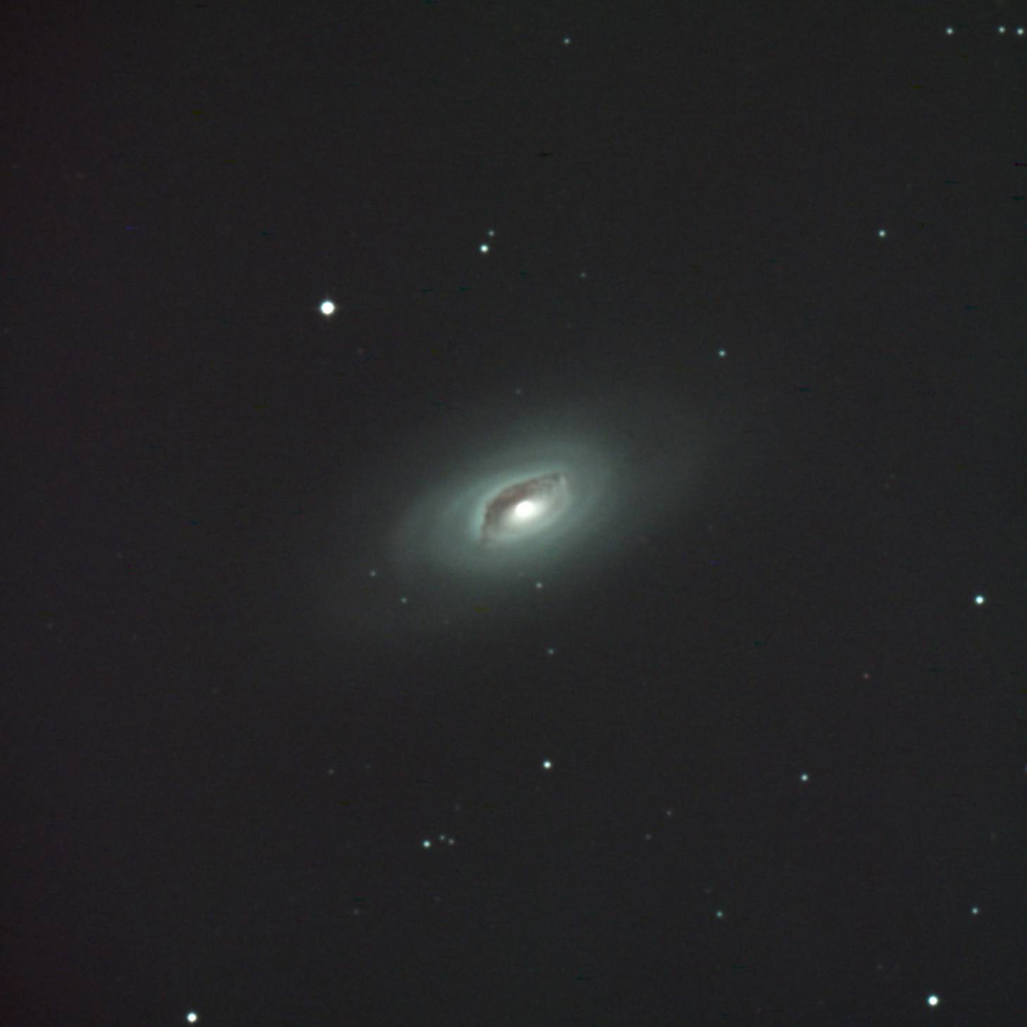 NGC4027-20210503.jpg?fit=1200,